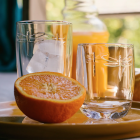 Verre Gobelet Libellule La Rochère