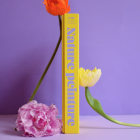 Puzzle Jour Férié Nature Peinture 1000 pièces