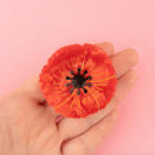 Pince à cheveux Coquelicot - Coucou Suzette