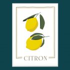L'Afficherie - Affiche A3 Citron