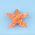 Pince à cheveux étoile de mer - Coucou Suzette