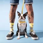 Coucou Suzette - Chaussettes Bouledogue