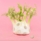 Coucou Suzette - Pin's Paquerette