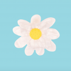 Coucou Suzette - Pince à cheveux Pâquerette