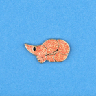 Coucou Suzette - Pin's Crevette