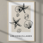 Affiche Les Coquillages