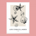 Affiche Les Coquillages
