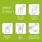 Explication du fonctionnement des kits à semer Mauvaises Graines