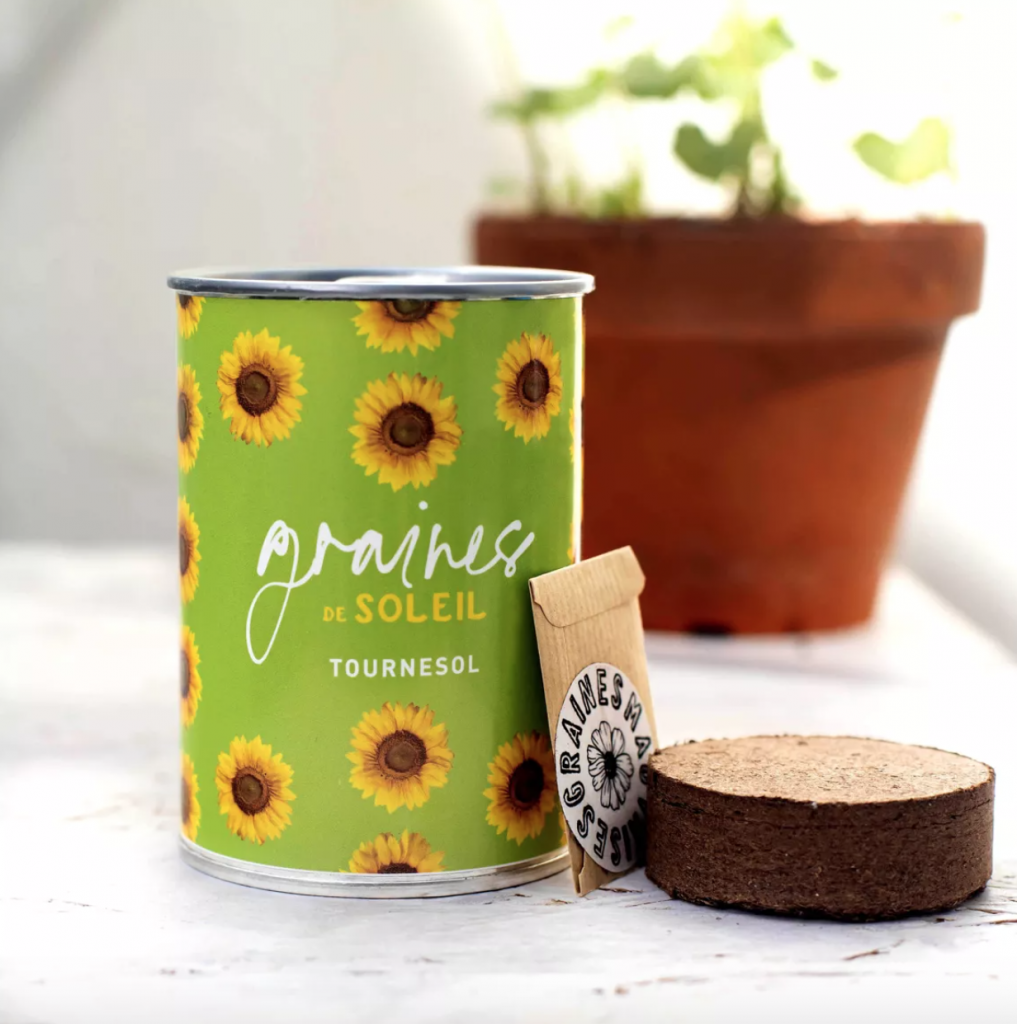 Kit à semer Graines de soleil - Mauvaises Graines