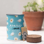 Kit à semer Graines d'amour - Mauvaises Graines