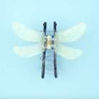 Pince à cheveux Libellule - Coucou Suzette