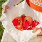 Pince à cheveux Pomme - Coucou Suzette