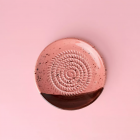 Assiette a raper petite rose et marron