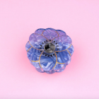 Coucou Suzette - Pince à cheveux Anémone