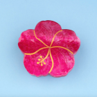 Pince à cheveux Hibiscus - Coucou Suzette