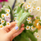 Pince à cheveux Muguet - Coucou Suzette