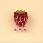 Coucou Suzette - Mini pince à cheveux Framboise