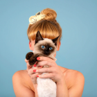 Pince à cheveux Chat Siamois - Coucou Suzette