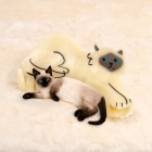 Pince à cheveux Chat Siamois - Coucou Suzette