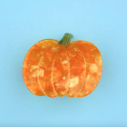 Pince à cheveux Citrouille