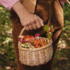 Pince à cheveux motif Feuille d'Érable