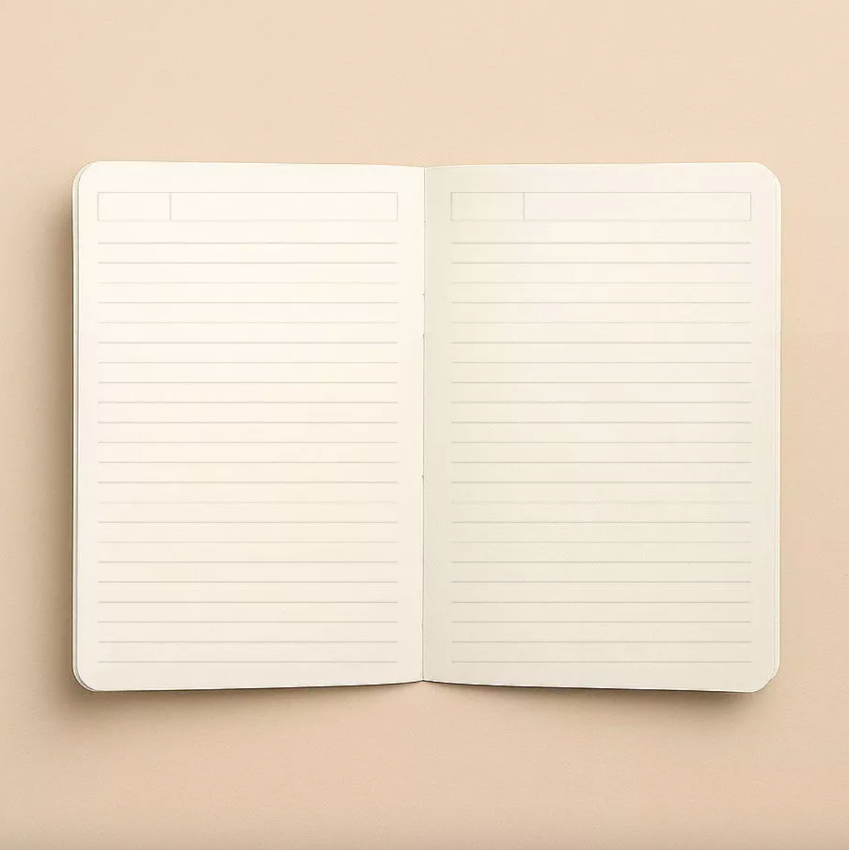 Hello couleur - Carnet - Frida en fleurs