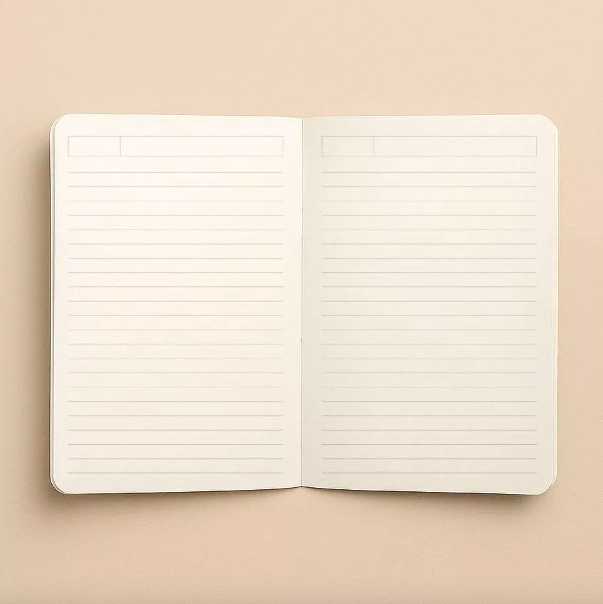 Hello couleur - Carnet - Les perroquets