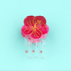 Mini pince a cheveux hibiscus